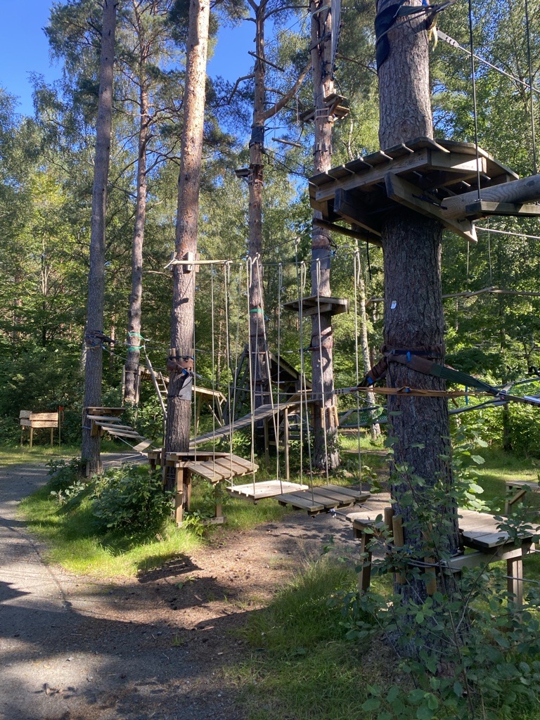Ein Kletterpark im Kiefernwald, wo das NorrLab-Team einen Tag verbracht hat